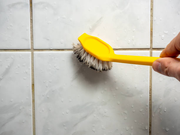 Best Attic Mold Removal  in Newaygo, MI