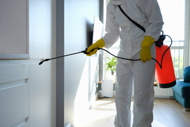 Best Mold Cleaning Services  in Newaygo, MI