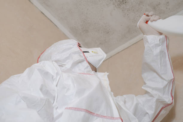 Best Mold Removal and Inspection  in Newaygo, MI